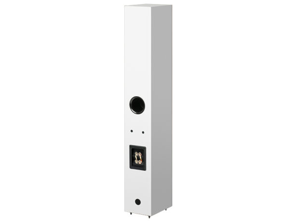 Speaker Box 12 E Carbon
