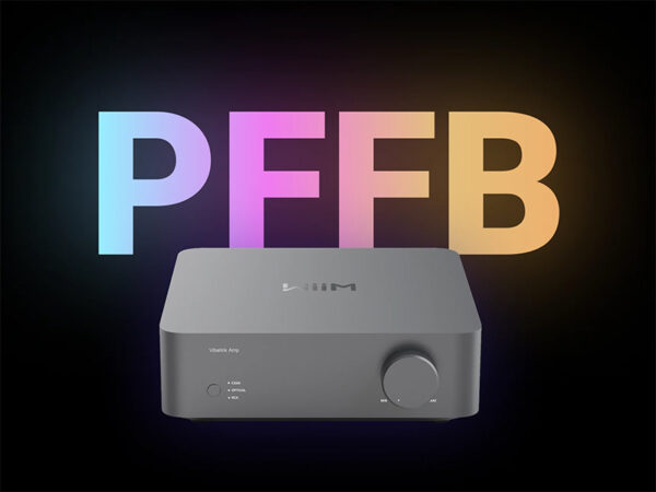WiiM Vibelink Amp
